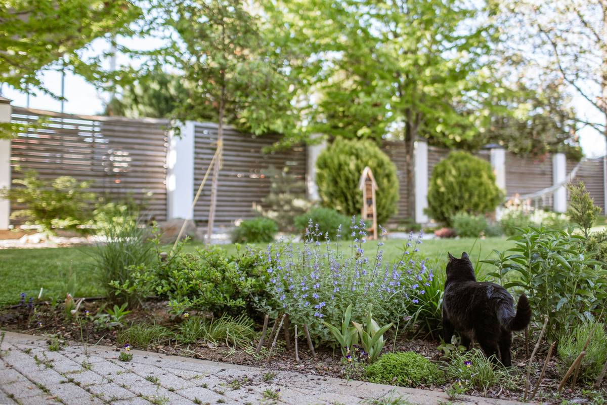starting a garden from lawn with garden statues placed on sheet-mulched beds
