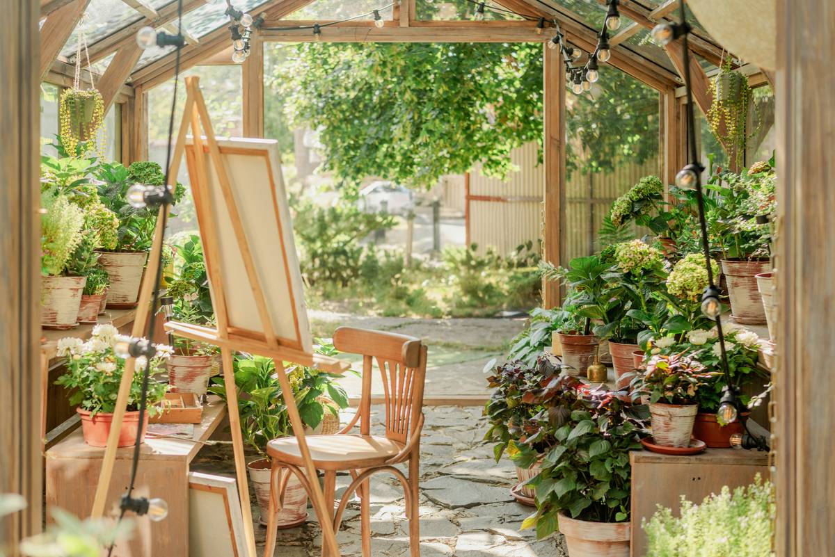 Starting a Garden from Lawn: The Overlooked Shortcut to Outdoor Beauty