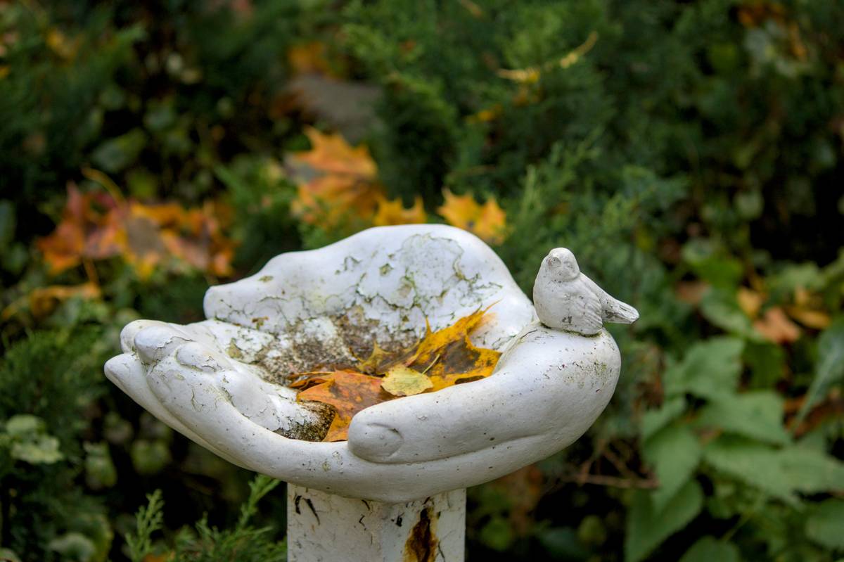 Woman gently scrubbing a stone rabbit statue with soft brush to clean garden ornaments