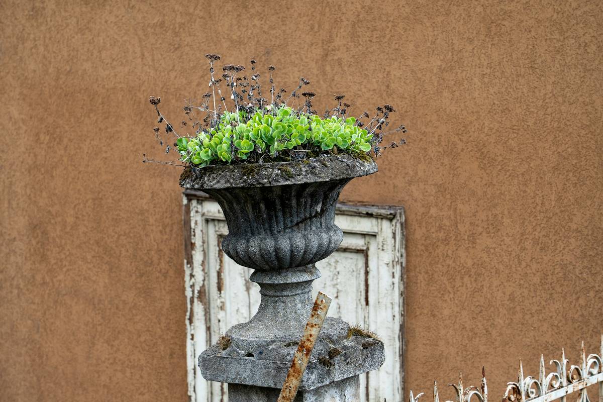 garden statue material how to grow - comparing sealed vs unsealed stone after one rainy season